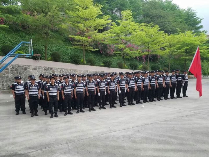 樂從執(zhí)法隊